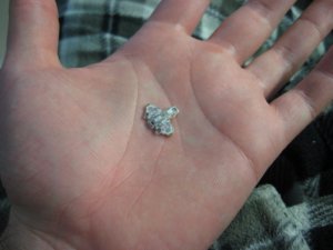 IMG_3472.jpg