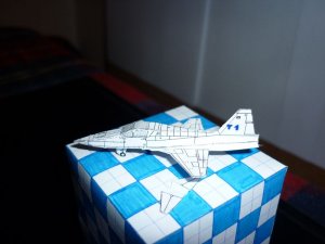 F-5A-proto1-003.JPG