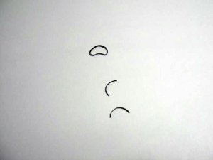 s (2).JPG