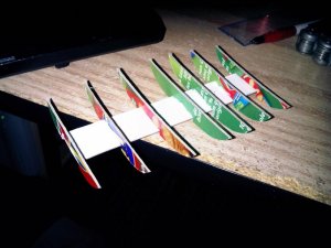 IMG00199-20100225-2016.jpg