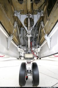 Front Landing Gear.jpg