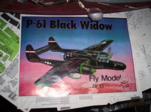 P61 build report 001 small.jpg
