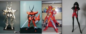 FSS-Wish4.jpg