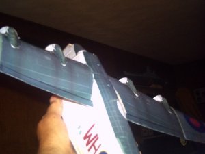 PICT0003.JPG