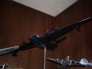 PICT0003.JPG