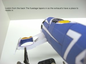 IMG_0090.jpg