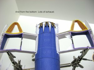 IMG_0092.jpg