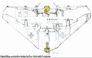 flying%20wing.jpg