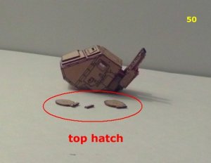 050.jpg
