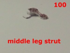 100.jpg