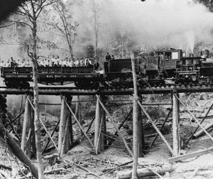 Log trestle and train.jpg