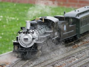 steam in garden.jpg