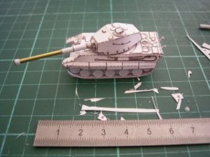 pap_tiger_II.jpg