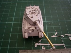 pap_tiger_II_c.jpg