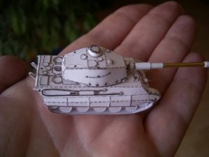 pap_tiger_II_i.jpg