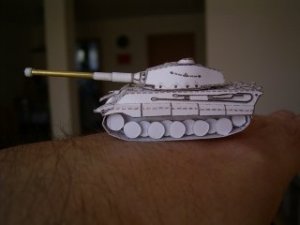 pap_tiger_II_k.jpg