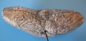 eros3.jpg