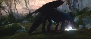 dragon4.jpg