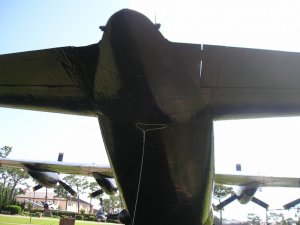 P1010015.jpg