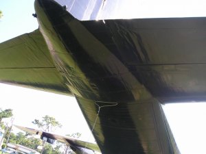 P1010016.jpg