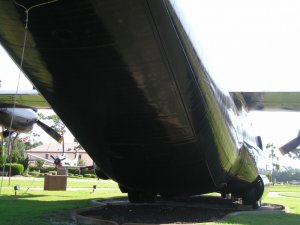 P1010017.jpg