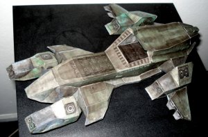 pelican 04.jpg