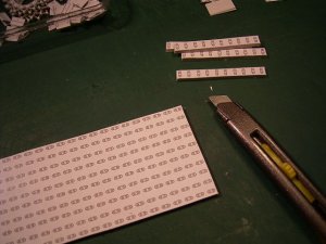 RIMG0135.JPG
