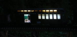 night lrrr 4.JPG