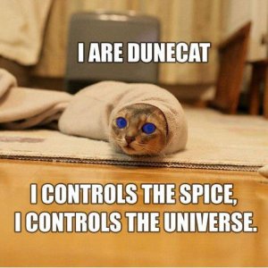Dune_Cat_by_ishouldplayzelda.jpg