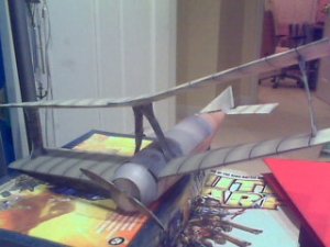 Picture 209.jpg