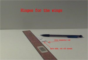 008.jpg
