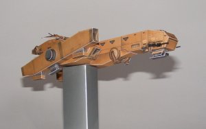 kodiak13.JPG