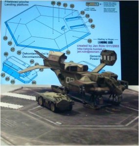 141.jpg