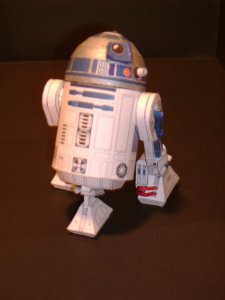 DSC01125.jpg