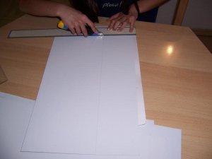 100_2838_800x600.jpg