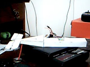 Picture 32.jpg