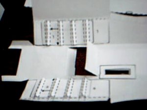 Picture 39.jpg