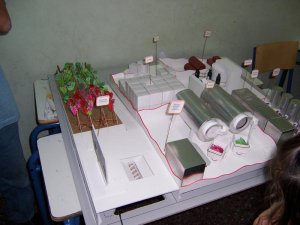 _All_800x600.jpg