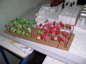 1_800x600.jpg