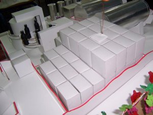 8_800x600.jpg
