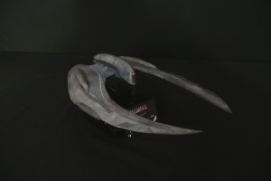raider2.jpg raider2.jpg