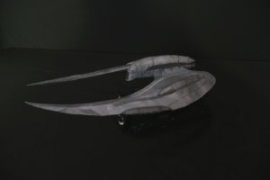 raider3.jpg raider3.jpg