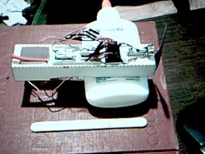 Picture 52.jpg