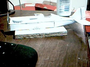 Picture 63.jpg