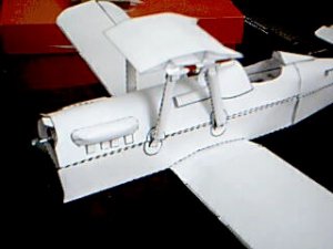 Picture 75.jpg