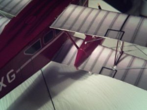 PICT0005.JPG