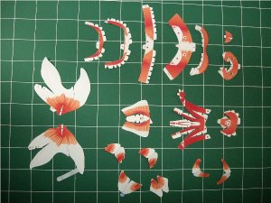 Goldfish_1.jpg
