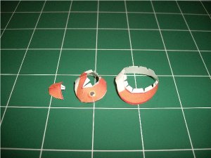 Goldfish_2.jpg