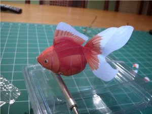 Goldfish_7.jpg