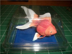 Goldfish_10.jpg